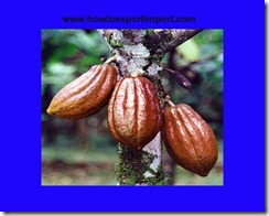 GST payable for sale of Cocoa and Cocoa preparations