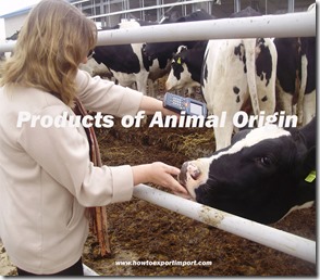 Products of Animal Origin