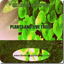 6 plants and trees www.howtoexportimport.com_2