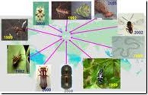 How to obtain Phyto sanitary certificate. What is phytosanitary