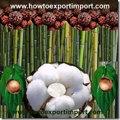 How to Import bamboo,coconut shell,rudraaksha,betal leaves etc