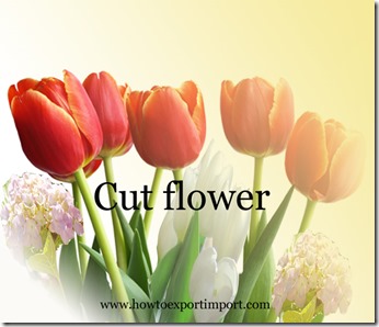 Cut flower