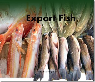 export Fish